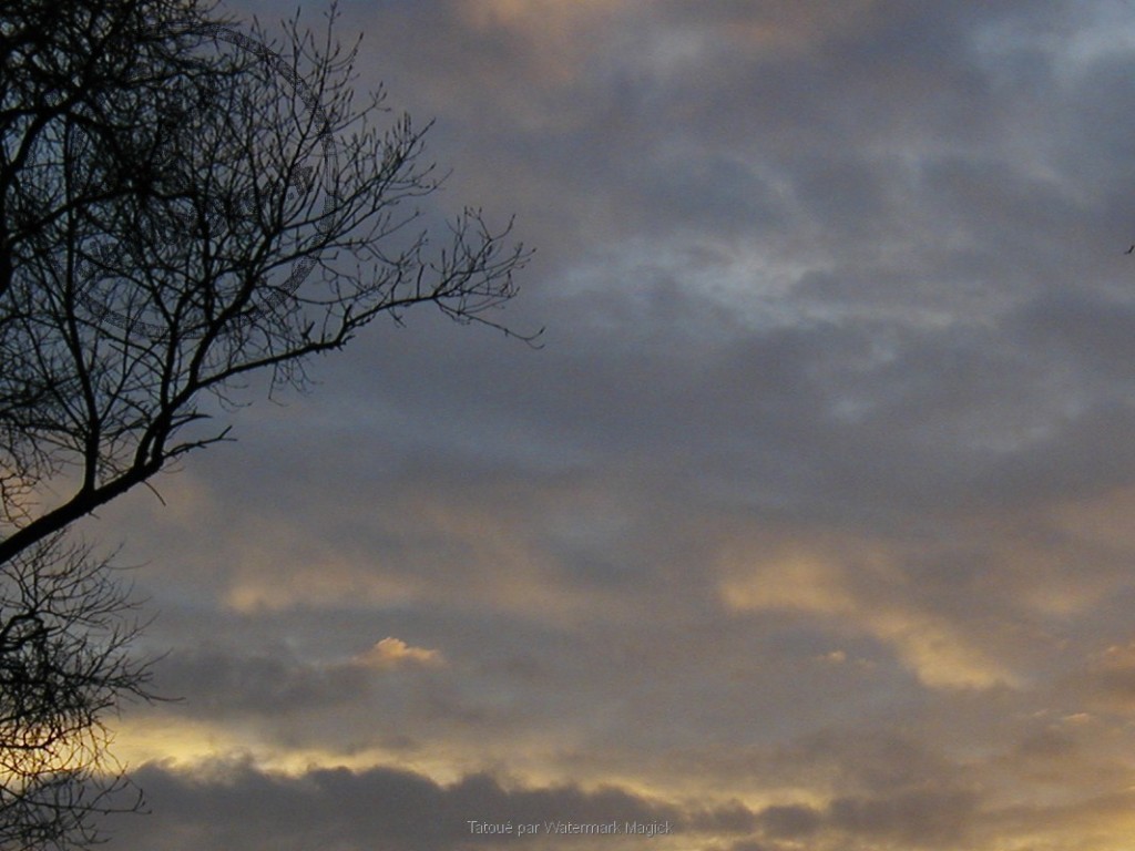 20130613Ciel-du-matin50-1024x768